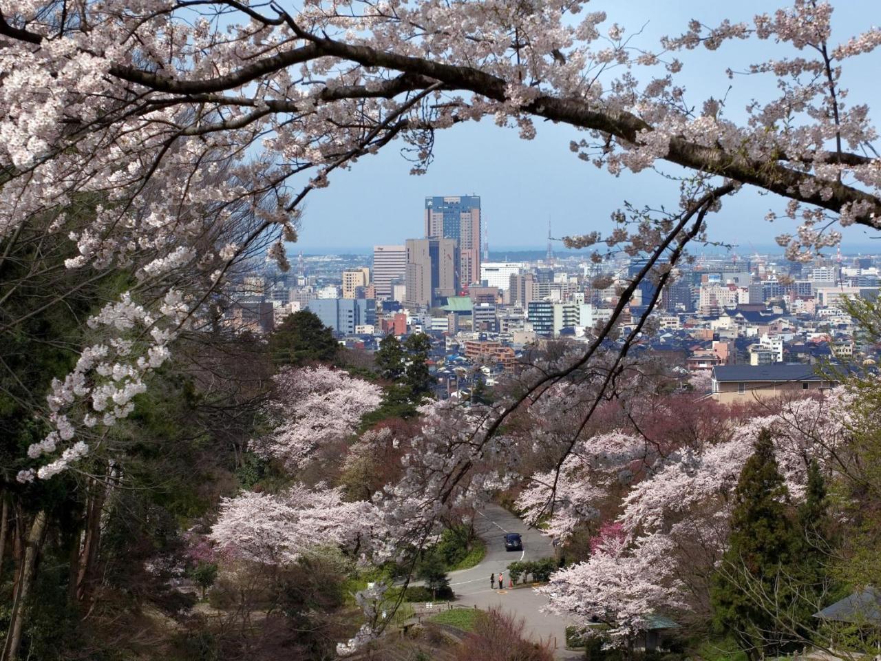 Apa Chuo